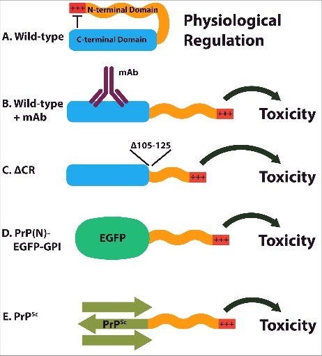 FIGURE 2.