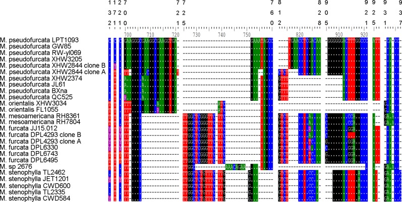 Fig 1