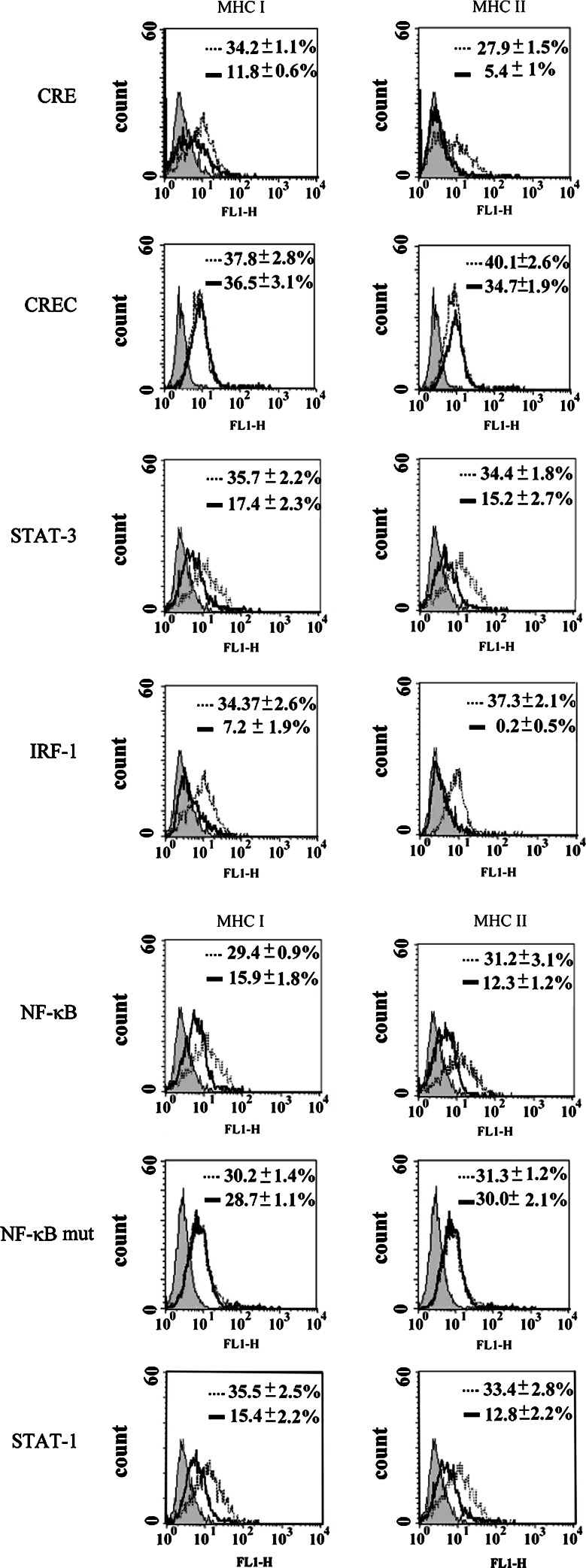 Fig. 10