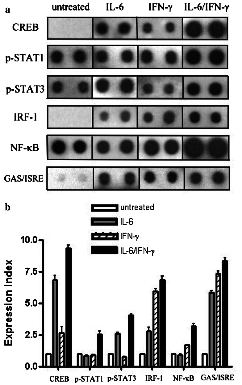 Fig. 9