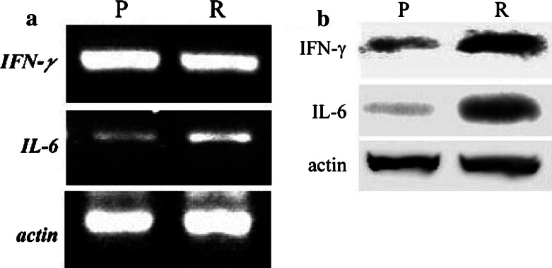 Fig. 4