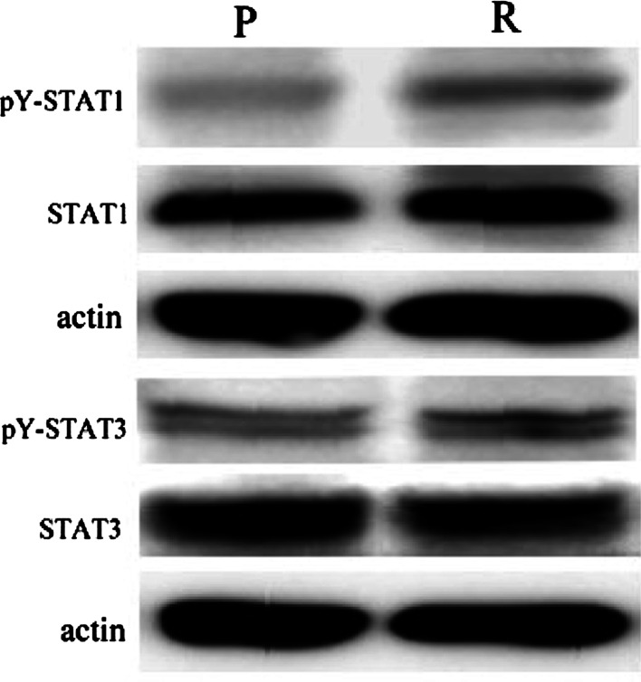 Fig. 8