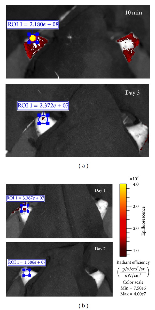 Figure 7