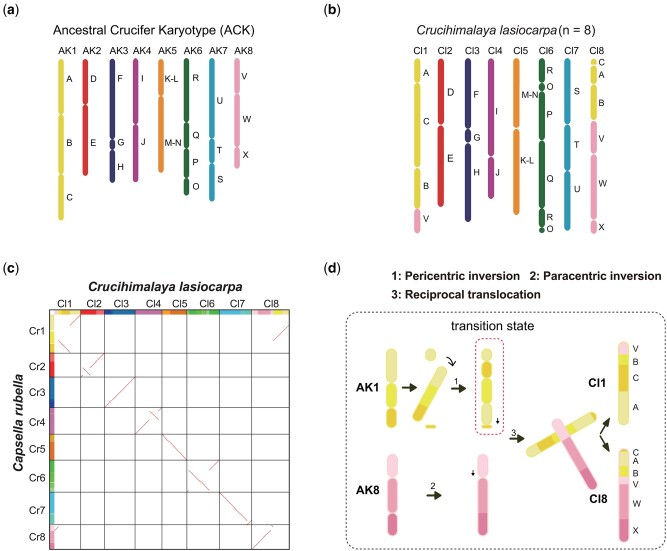 Figure 2.