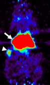 Figure 3a: