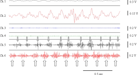 Figure 4.