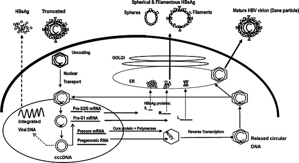 Fig. 1