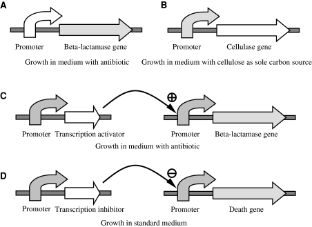 Fig. 1