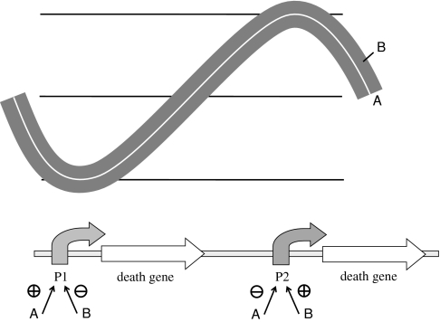 Fig. 2