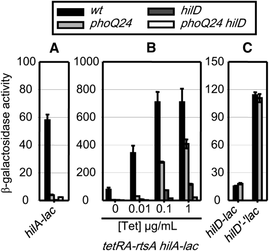 Figure 5 