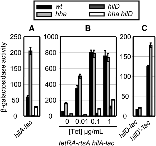 Figure 6 