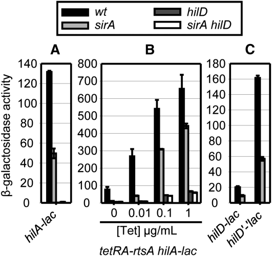 Figure 4 