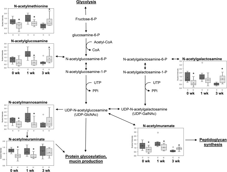 FIGURE 3