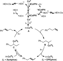 Scheme 2