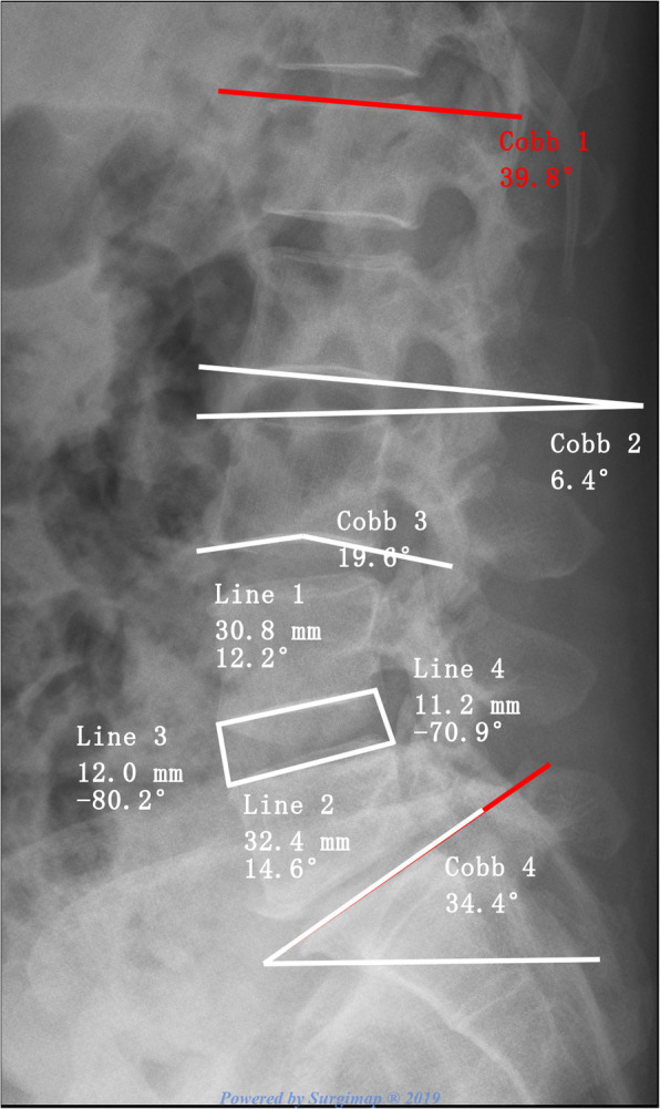 Fig. 2