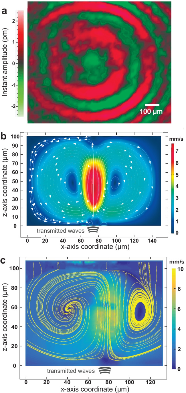 Fig. 2