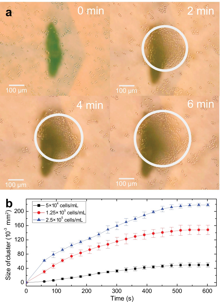 Fig. 3