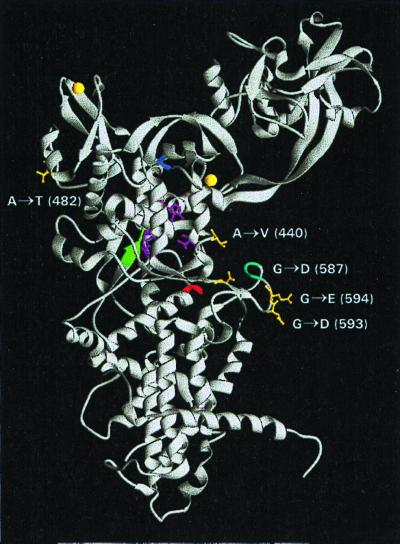 FIG. 3