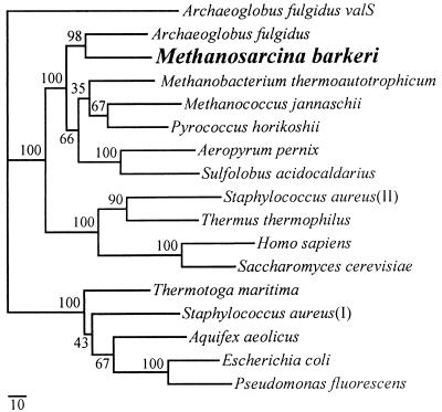 FIG. 1