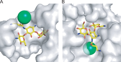 FIG. 4.