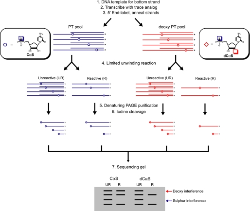 FIGURE 2.