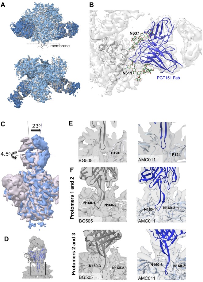 Fig 5