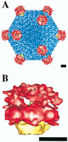 FIG. 6