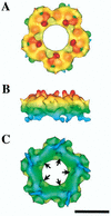 FIG. 7