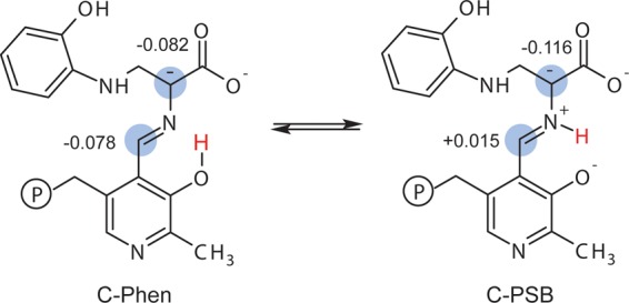 Scheme 5