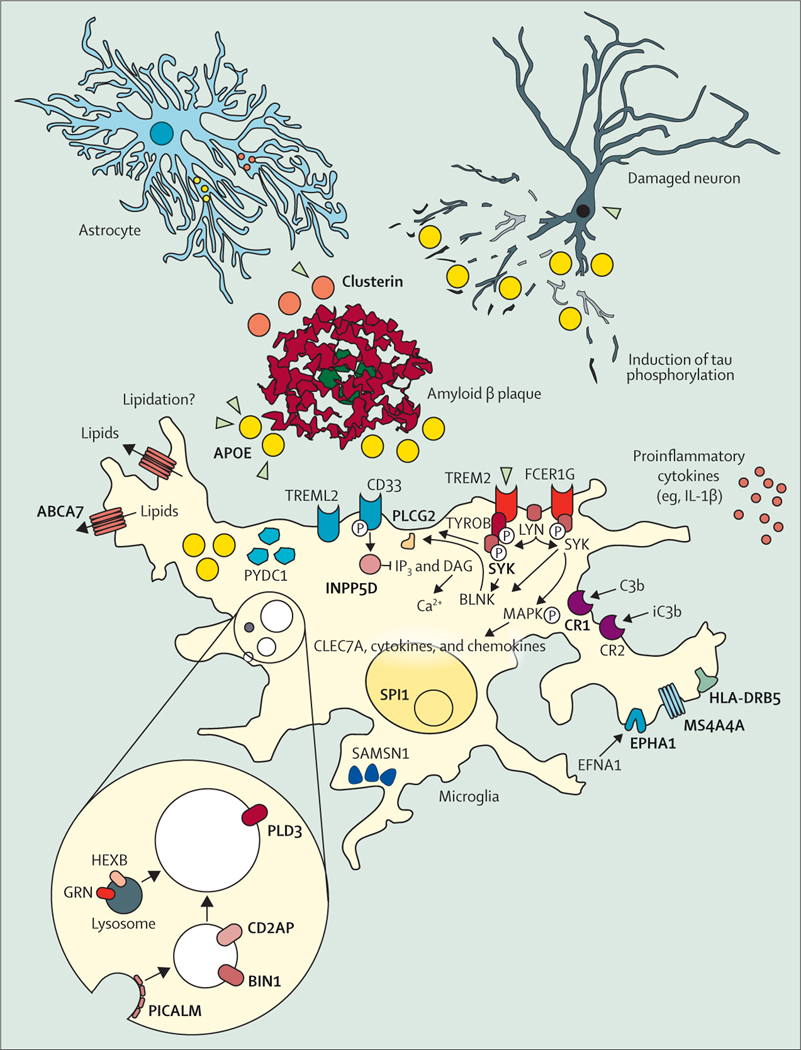 Figure 4: