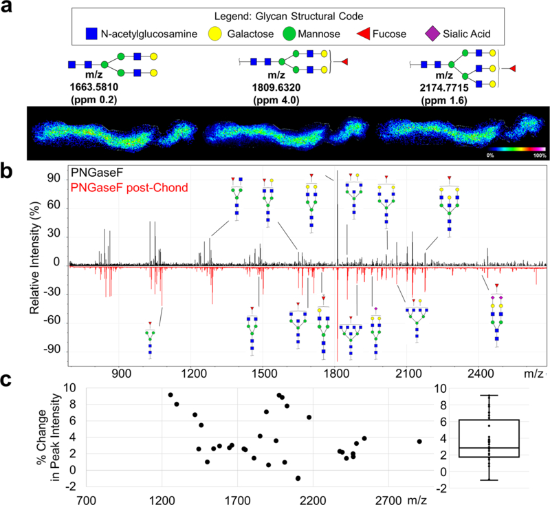 Figure 4: