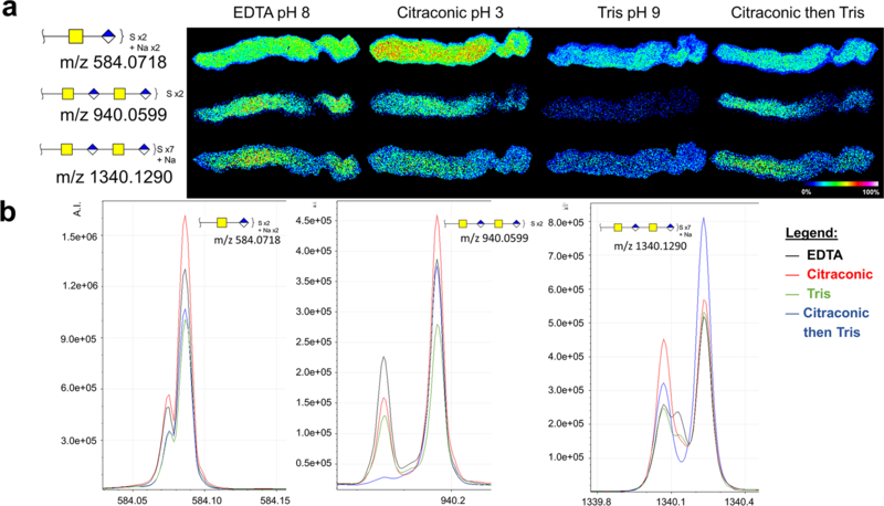 Figure 3: