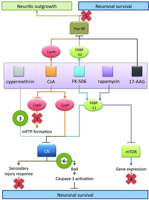 Fig 4