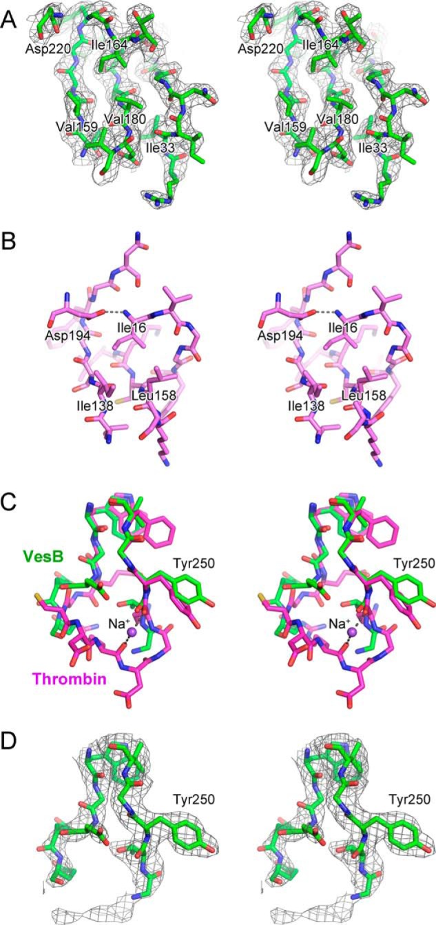 FIGURE 7.