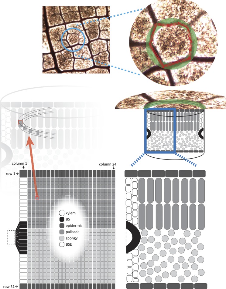 Figure 14.