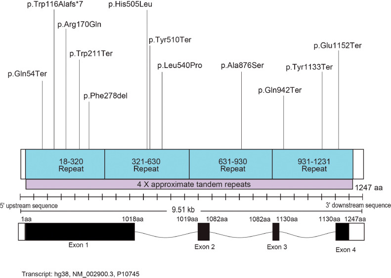 FIGURE 1