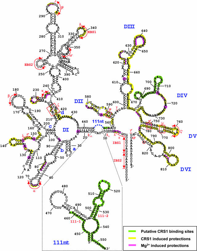 Figure 7.