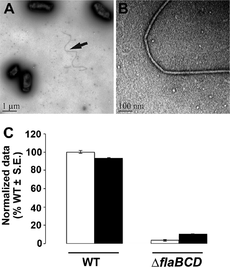 FIG 3