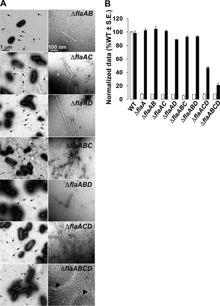 FIG 2