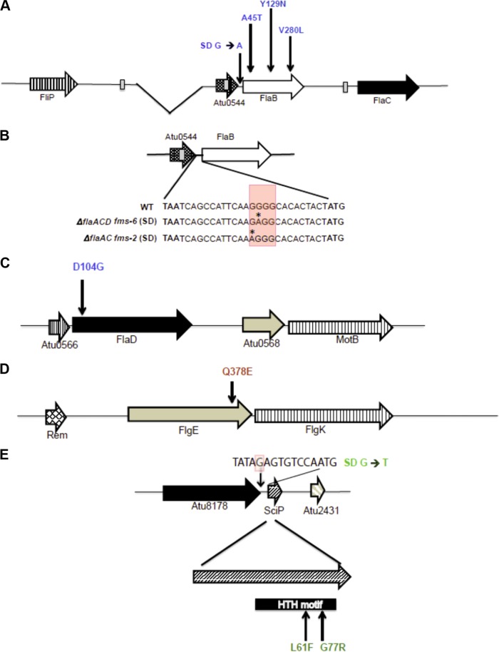 FIG 7