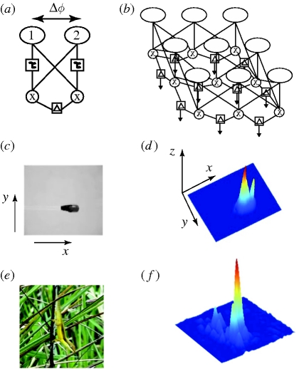 Figure 1.