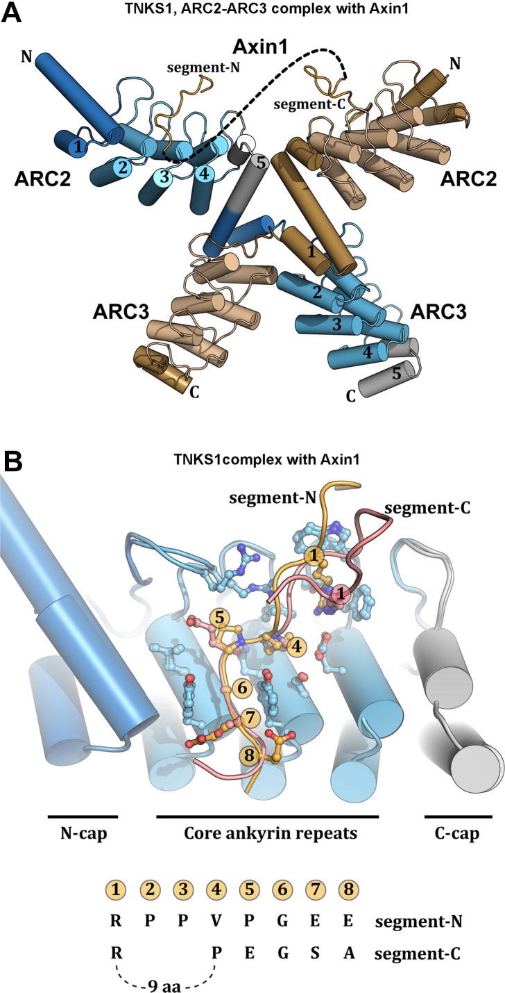 Fig. 9