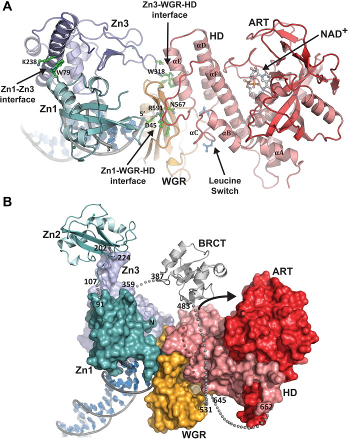 Fig. 6