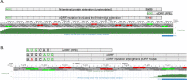 Figure 1—figure supplement 4.