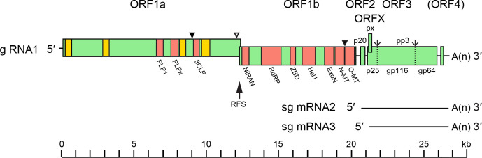 Fig. 2.