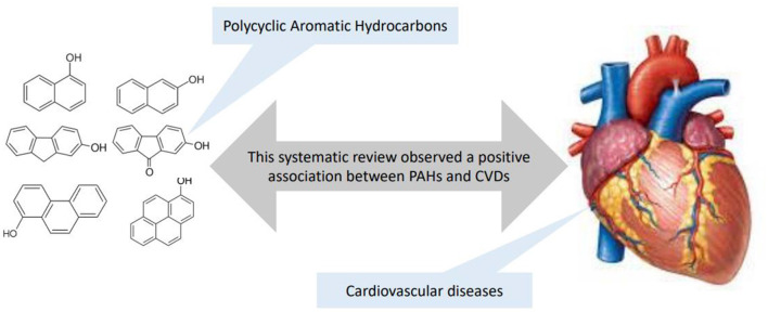 Graphical Abstract