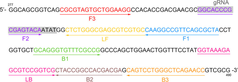 FIG 6