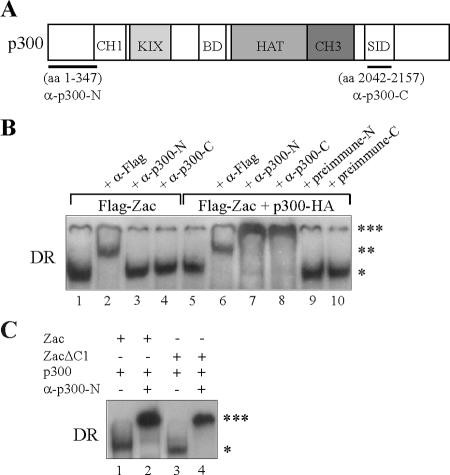 FIG. 5.