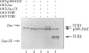 FIG. 9.