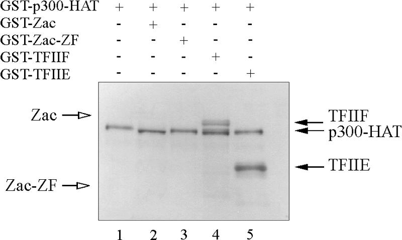 FIG. 9.